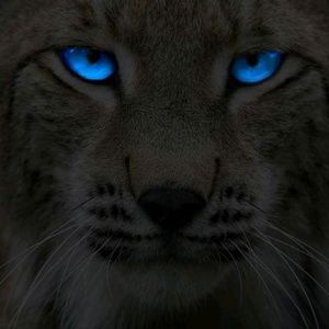 Meet your Posher, Teresa